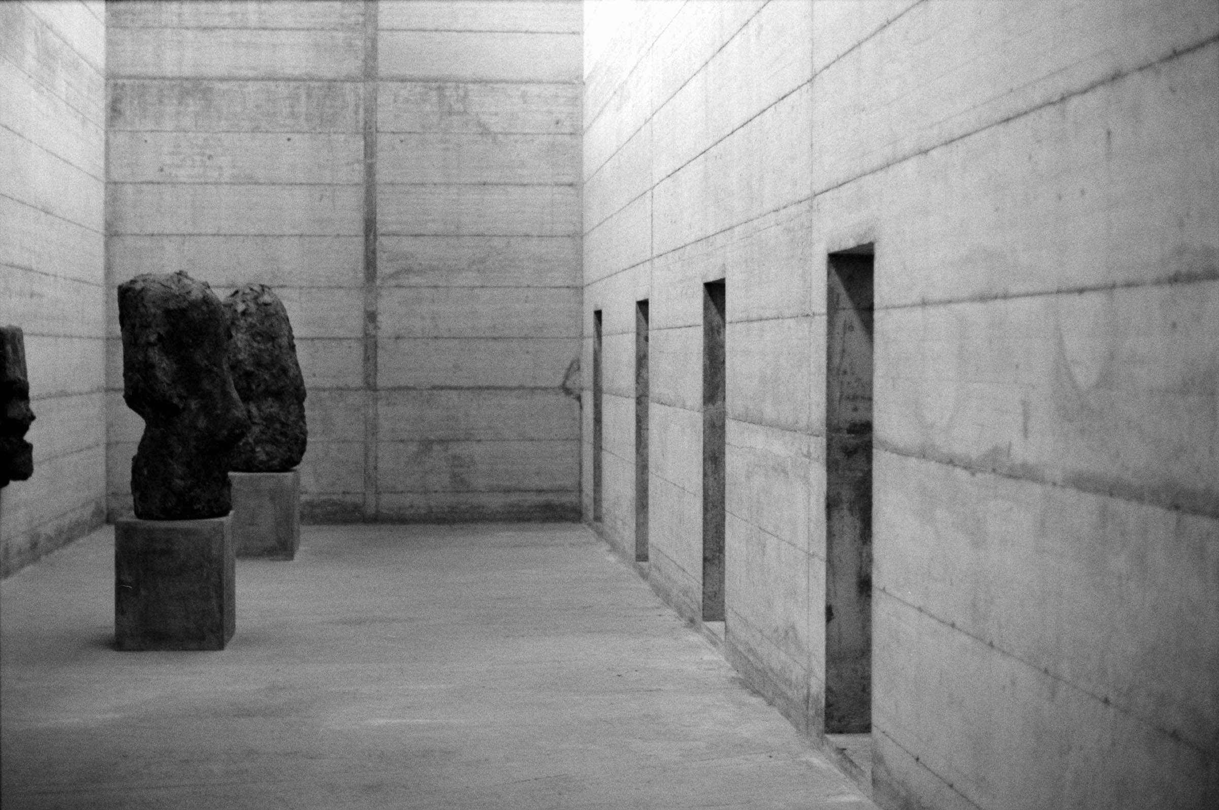 AHP F1994 11 006 sc250521 img16 NLP